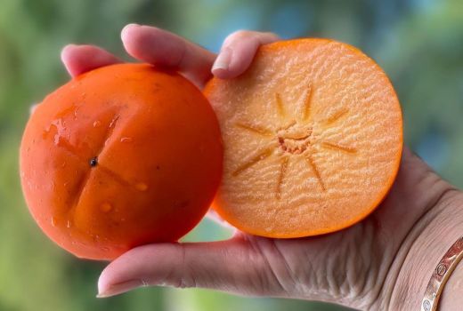 Buah Ini Nggak Terkenal, Tapi Khasiatnya Sungguh Luar Biasa - GenPI.co SULTRA