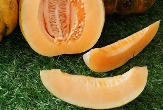 Intip 5 Manfaat Menakjubkah Buah Blewah Bagi Kesehatan - GenPI.co SULTRA