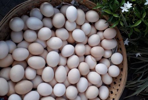 Tak Bikin Gemuk, Makanan Ini Justru Bisa Bikin Tubuh Ramping - GenPI.co SULTRA