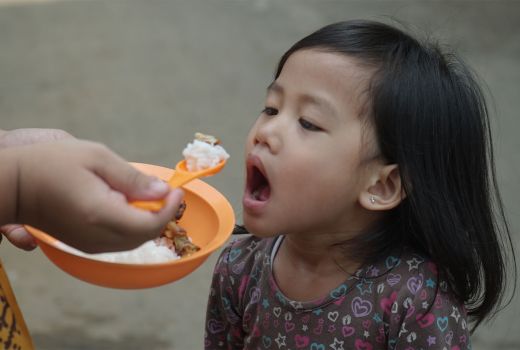 5 Sayuran Ini Terbukti Tunjang Tumbuh Kembang Anak - GenPI.co SULTRA