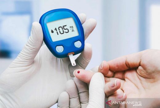 Coba Makan Sayur Ini Jika Ingin Diabetes Anda Bertambah Parah - GenPI.co SULTRA