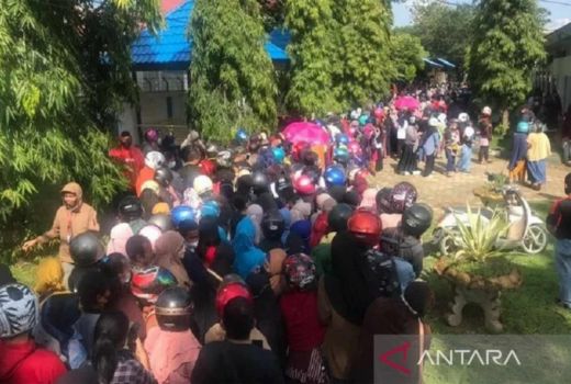 Tolong Produsen Jangan Pelit, Warga Baubau Butuh Minyak Goreng - GenPI.co SULTRA