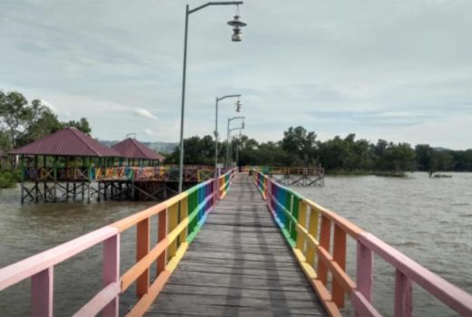 Hutan Mangrove Pomalaa Sultra, Wisata Alternatif Healing Weekend - GenPI.co SULTRA