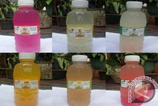 Tak Banyak Tahu, Ini Dahsyatnya Manfaat Buah Ciplukan - GenPI.co SULTRA