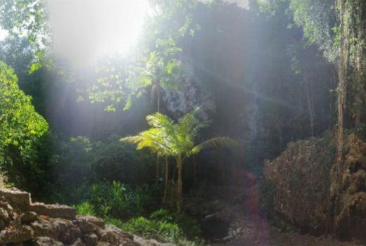 Wisata Mata Air Gua Kohonda’o, Terapi Spa Ikan yang Bikin Candu - GenPI.co SULTRA