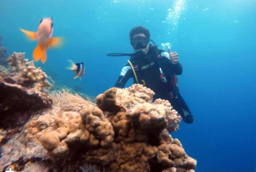 Busel Punya Paket Wisata Komplet, Potensi Belum Digarap Maksimal - GenPI.co SULTRA