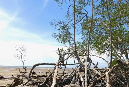 Surganya Wisata Bahari, Pantai Pasir Putih di Konawe Selatan - GenPI.co SULTRA