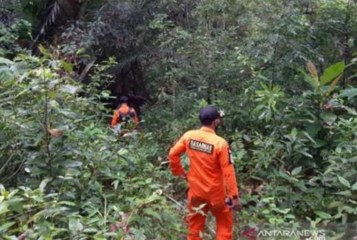 Tolong! Kakek Kamron Hilang di Hutan Konut, Keluarga Panik - GenPI.co SULTRA