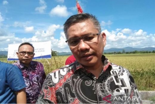 Milenial Kendari Diminta Jadi Petani Saja, Kata Sulkarnain - GenPI.co SULTRA