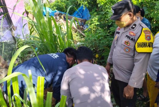 Geger! Warga Puuwatu Kendari Temukan Mayat Bayi Membusuk di Kebun - GenPI.co SULTRA