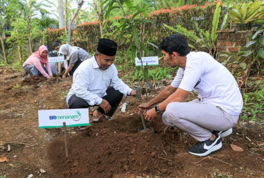 BRI Menanam Dukung Pengurangan Emisi, Penyerapan Karbon 108 Ribu Ton CO2 - GenPI.co SULTRA