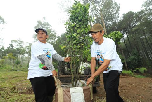 KUR Cair, Nasabah Berbagi Keuntungan Jadi Bagian BRI Menanam - GenPI.co SULTRA