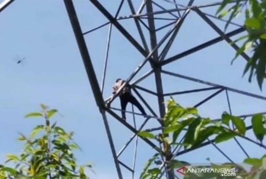 Hendak Terjun Bunuh Diri dari Tower TVRI Sultra, Istri: Turun Rivan! - GenPI.co SULTRA
