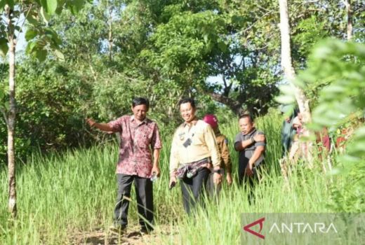 Kendari Bakal Punya Wisata Camping Tengah Kota dan Trek Sepeda Gunung - GenPI.co SULTRA
