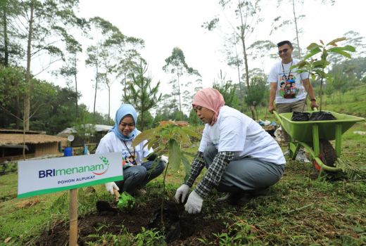 Terapkan Prinsip Keberlanjutan, Indeks dan Peringkat ESG BRI Terus Naik - GenPI.co SULTRA