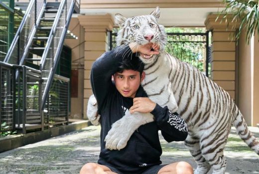 Alshad Ahmad Pilih Main sama Macan, Apa Kabar Nissa Asyifa? - GenPI.co SULTRA