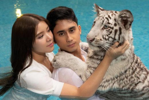 Alshad Ahmad Pasrah Jika Harus Berjodoh dengan Tiara Andini - GenPI.co SULTRA