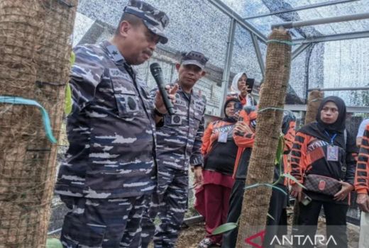 Cuan Menjanjikan, TNI AL Kendari Ajarkan Warga Tanam Vanili - GenPI.co SULTRA