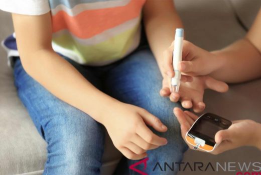 Manfaat Air Rebusan Daun Salam, Cocok untuk Pejuang Diabetes - GenPI.co SULTRA