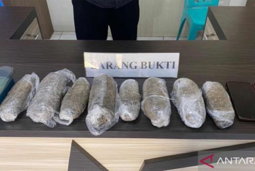 Pesan 1 Paket Ganja Instagram, Eh yang Datang 8, Warga Kendari Malah Sedih - GenPI.co SULTRA