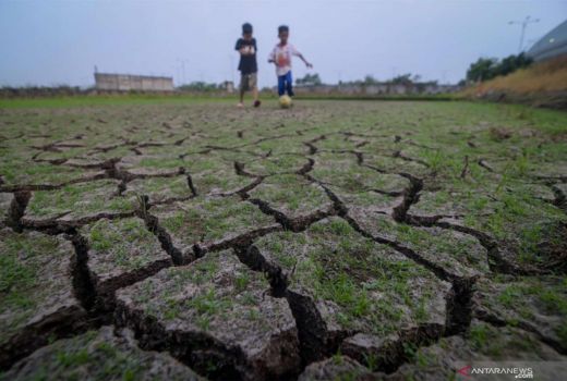 Kolaka Timur Dihajar El Nino, Kekeringan Ekstrem Merajalela - GenPI.co SULTRA