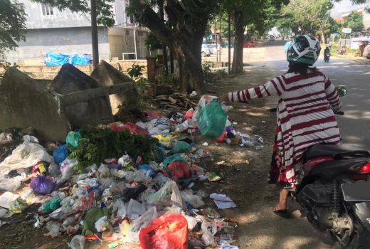 Sampah Jadi Masalah, Pemkot Kendari Hapus TPS Bertahap - GenPI.co SULTRA
