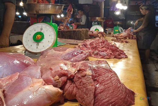 Wah, Daging Sapi Melimpah di Sultra Tak Pengaruhi Harga di Pasar - GenPI.co SULTRA