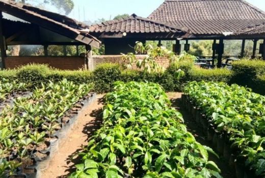 Warga OKU Selatan Dapat Bantuan Mandiri Pangan, Begini Tujuannya - GenPI.co SUMSEL