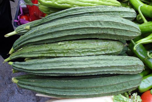 Manfaat Dahsyat Sayur Oyong, Sehatnya Dapat Lezatnya Terasa - GenPI.co SUMSEL