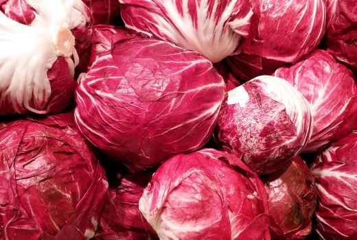 Manfaat Radicchio, Dari Hentikan Pendarahan Hingga Kesehatan Mata - GenPI.co SUMSEL