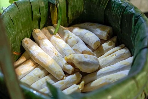 Jangan Berlebihan, Begini Dampaknya Makan Tape Bagi Ibu Menyusui - GenPI.co SUMSEL