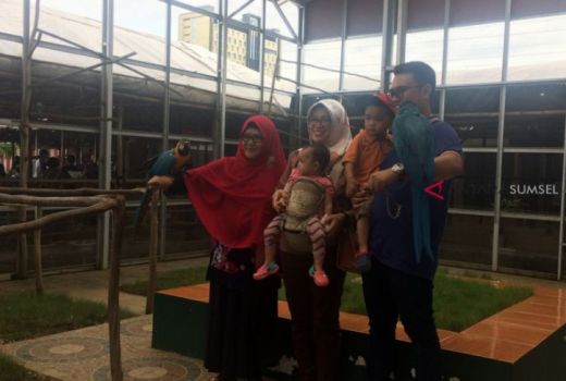 Bird Park, Tempat Wisata Mengasyikkan di Tengah Kota Palembang - GenPI.co SUMSEL