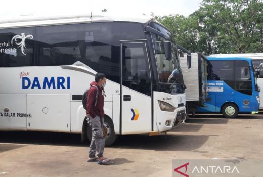 Layani Arus Balik, Puluhan Bus Damri Disiagakan dari Palembang - GenPI.co SUMSEL