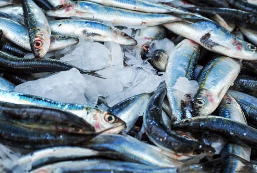 Begini 3 Cara Menghilangkan Bau Amis Ikan dengan Mudah - GenPI.co SUMSEL