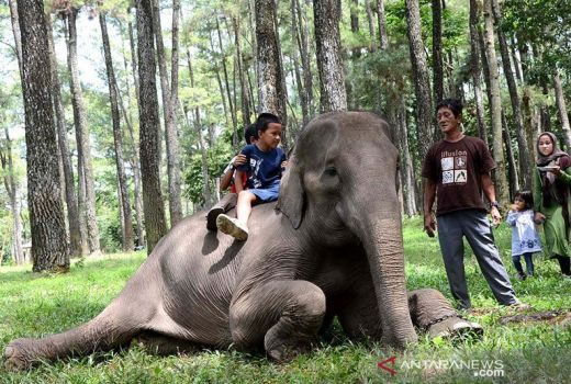 Taman Wisata Punti Kayu, Menikmati Alam di Tengah Kota Palembang - GenPI.co SUMSEL