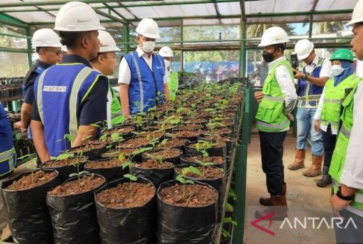 PTBA Kembangkan Botanical Garden di Lahan Bekas Tambang - GenPI.co SUMSEL