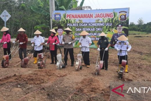 Lampaui Target Nasional, OKU Hasilkan 8,6 Ton Jagung Tahun Ini - GenPI.co SUMSEL