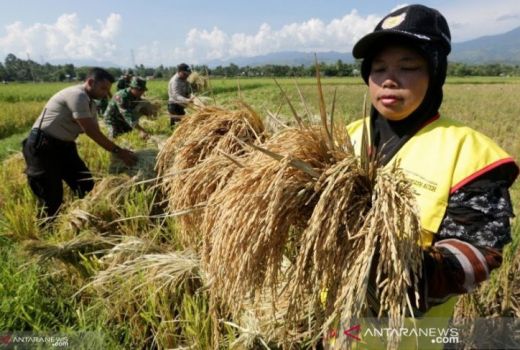 1.400 Penyuluh Pertanian Jadi Agen BPJS Ketenagakerjaan Palembang - GenPI.co SUMSEL