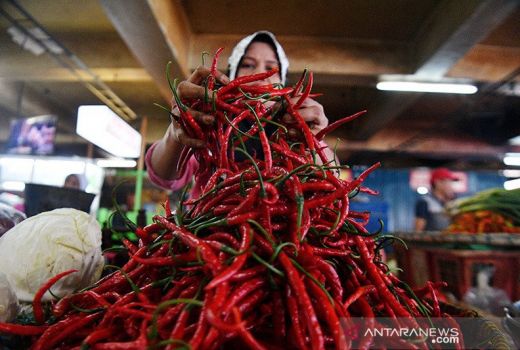 Atasi Mahalnya Harga Cabai Merah, Sumsel Kembangkan Klaster - GenPI.co SUMSEL