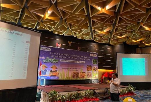 Kemendes: Sumsel Belum Optimal Serap Dana Desa Ketahanan Pangan - GenPI.co SUMSEL