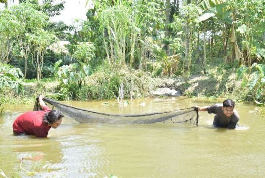 Warga Muara Enim Kelola Tambak Ikan di Lahan Bekas Tambang PTBA - GenPI.co SUMSEL