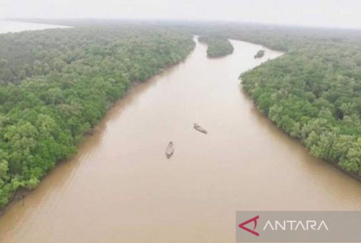 Ganti Alih Fungsi Hutan, Sumsel Bangun Ecopark di Banyuasin - GenPI.co SUMSEL