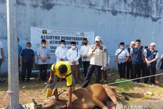 Rayakan Iduladha, Rutan Palembang Kurban 8 Sapi dan 4 Kambing - GenPI.co SUMSEL