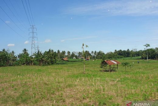 Wujudkan GSMP, Sumsel Targetkan Produksi 2,9 Juta Ton GKG - GenPI.co SUMSEL