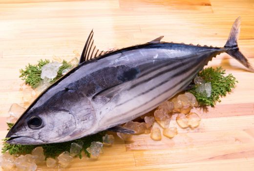 3 Manfaat Ikan Cakalang, Penyuka Masakan Manado Kumpul - GenPI.co SUMSEL