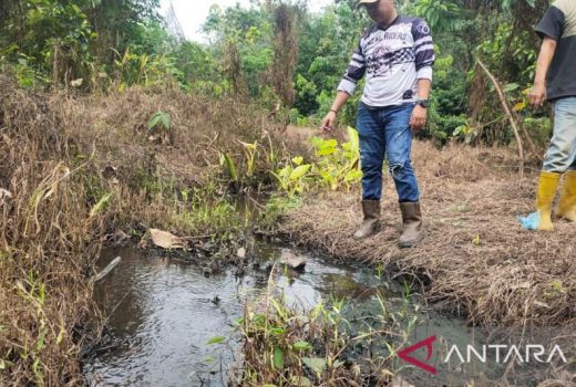 Lahan Kebun Warga di OKU Rusak, Penyebabnya Parah Banget! - GenPI.co SUMSEL