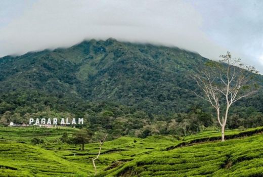 Desa Wisata di Pagar Alam Bikin Sandiaga Uno Takjub, Pantas Saja - GenPI.co SUMSEL