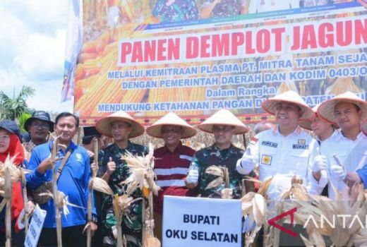 Bupati OKU Selatan Beri Kabar Baik, Produksi Jagung Terus Meroket - GenPI.co SUMSEL