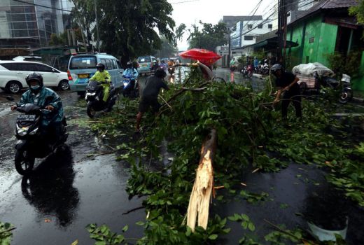 BMKG Beri Tanda Bahaya, 8 Daerah di Sumsel Harap Waspada - GenPI.co SUMSEL