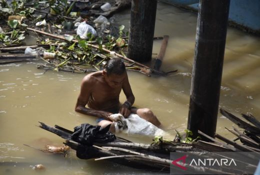 Air di Sungai Musi Tercemar Bakteri E Coli, Kata DLHP Sumsel - GenPI.co SUMSEL